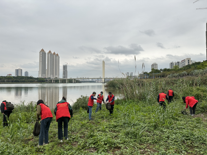 beats365官网 网页版